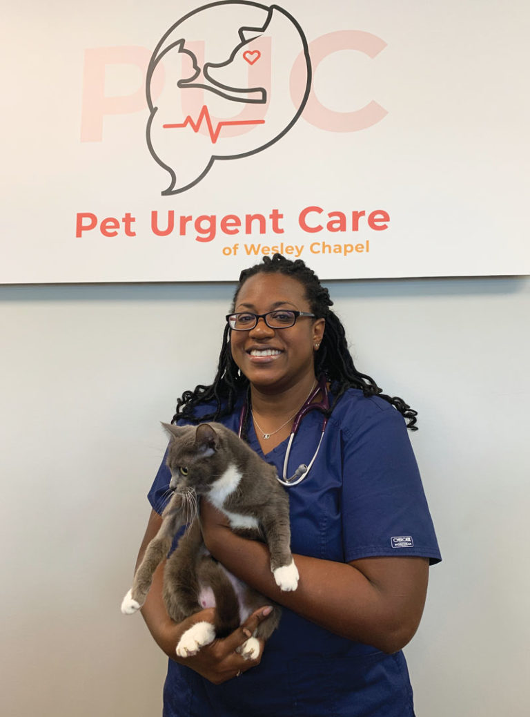 Pet Urgent Care Of Wesley Chapel Now Open In The Pet &amp; Fit
