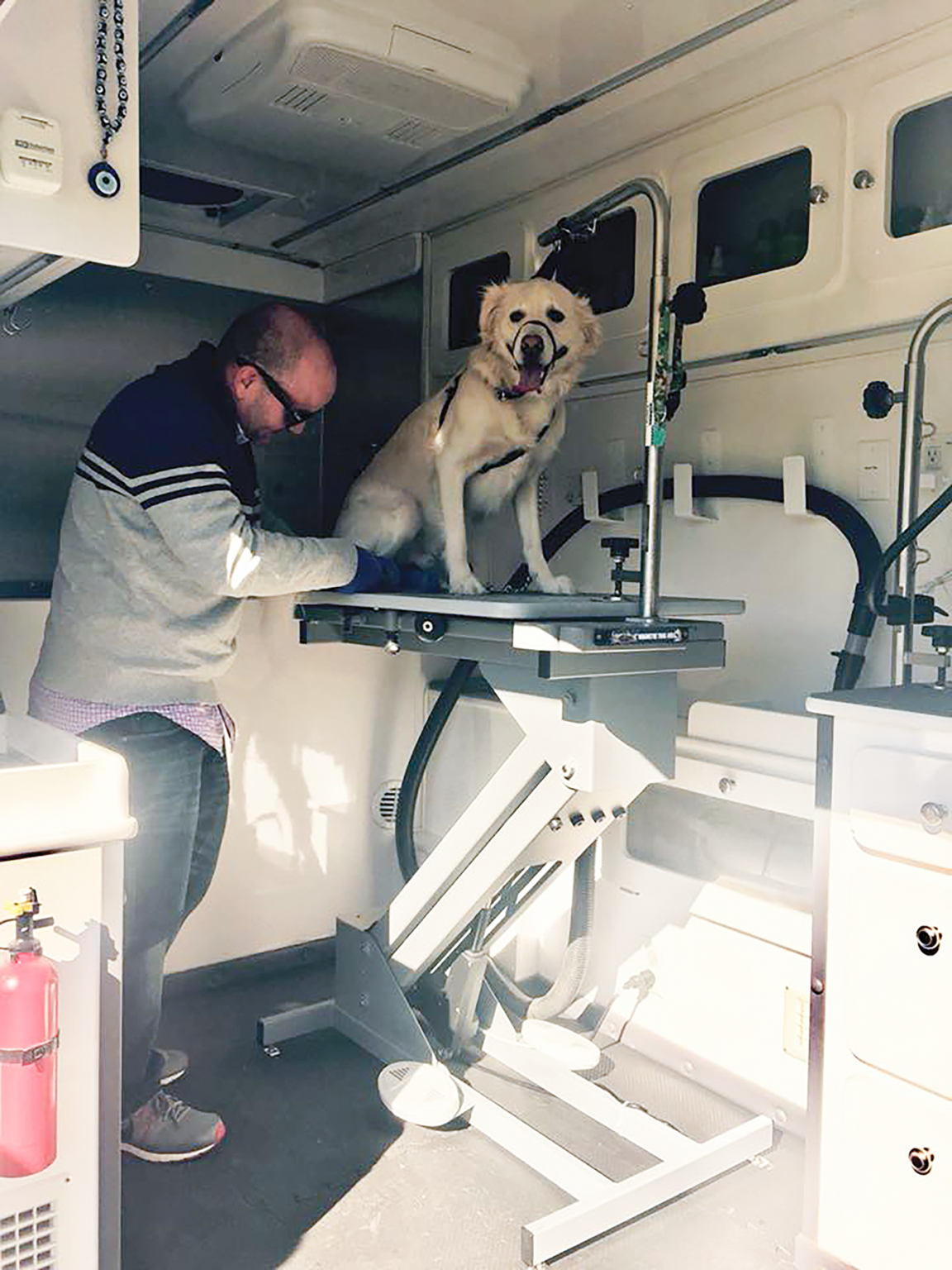 Picture of A LA MODE Mobile Pet Grooming Brings Great Grooming To Your Home ...